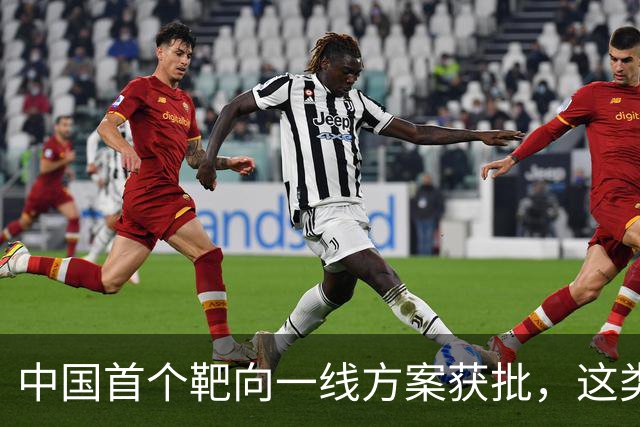 中国首个靶向一线方案获批，这类外周T细胞淋巴瘤迎新选择