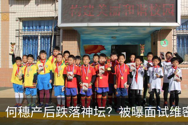 何穗产后跌落神坛？被曝面试维密被拒，刘雯已落地美国，差距太大