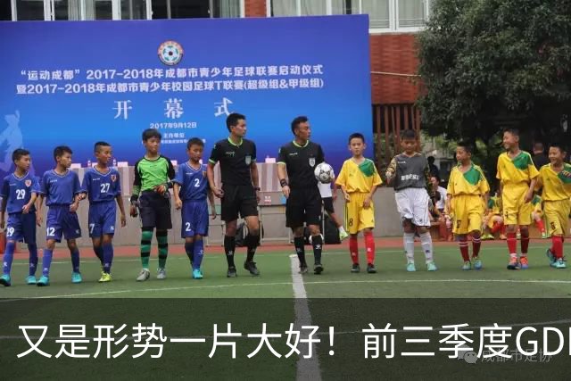 又是形势一片大好！前三季度GDP增速4.6%，人均收入涨5.3%，你信不信？