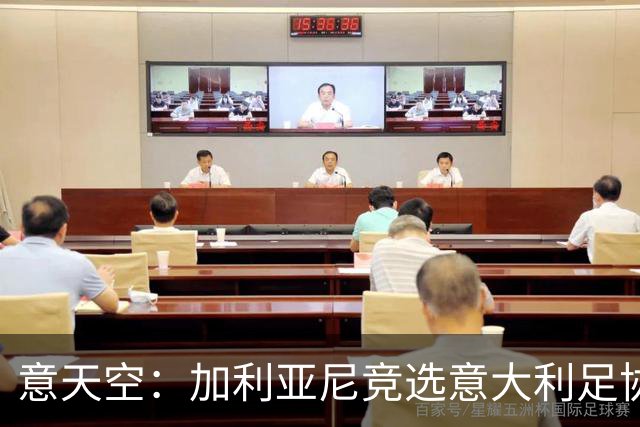 意天空：加利亚尼竞选意大利足协主席的可能性正在增加