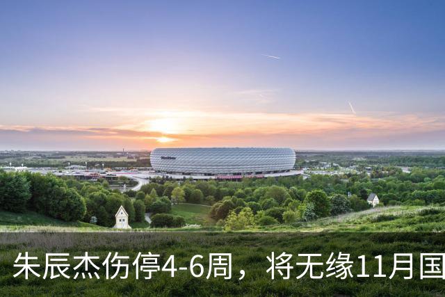 朱辰杰伤停4-6周，将无缘11月国足友谊赛，但不会影响亚洲杯