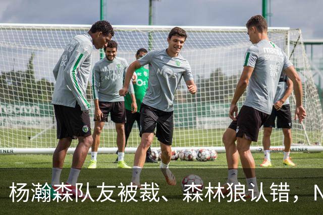 杨瀚森队友被裁、森林狼认错，NBA高个控卫实验，为什么都失败了