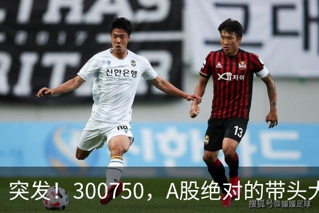 突发！300750，A股绝对的带头大哥，彻底崩了！