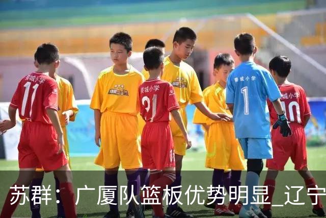 苏群：广厦队篮板优势明显 辽宁队前途凶险