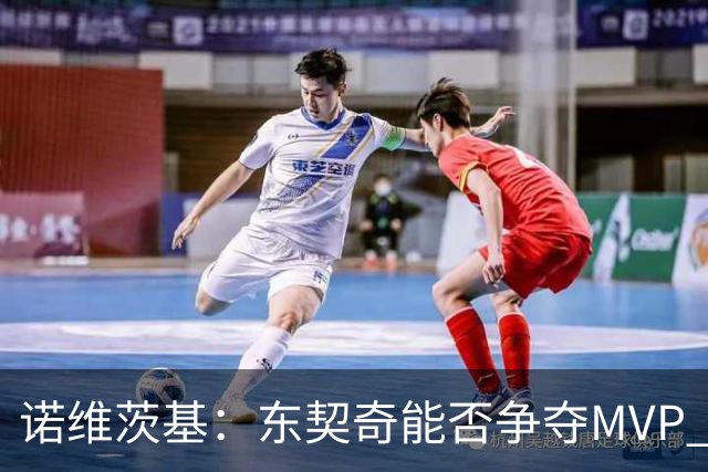 诺维茨基：东契奇能否争夺MVP 关键在于健康和能否打满65场