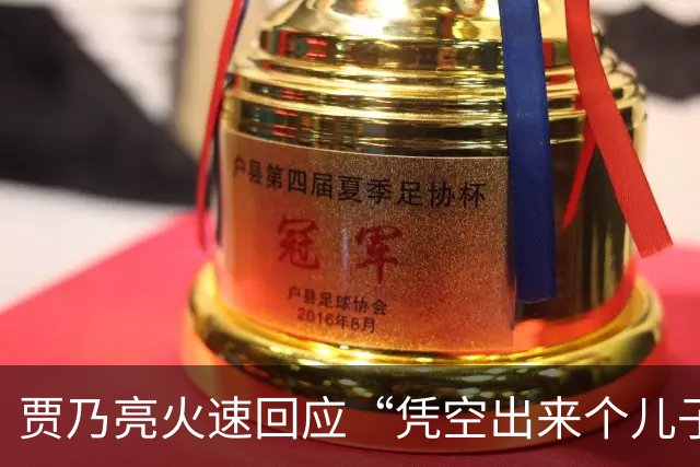 贾乃亮火速回应“凭空出来个儿子” 只有一个儿子在这呢