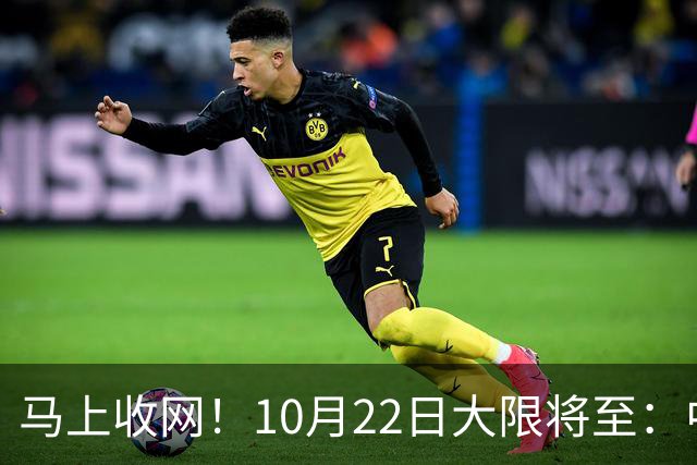马上收网！10月22日大限将至：中国富豪正在＂割肉＂补税