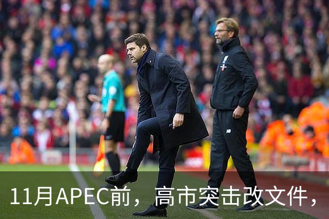 11月APEC前，高市突击改文件，日本：西方衰落的第一张骨牌