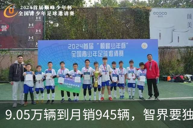 9.05万辆到月销945辆，智界要独立造车了